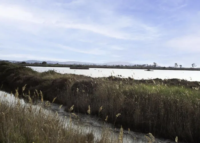 Palmeraie By Interhome *